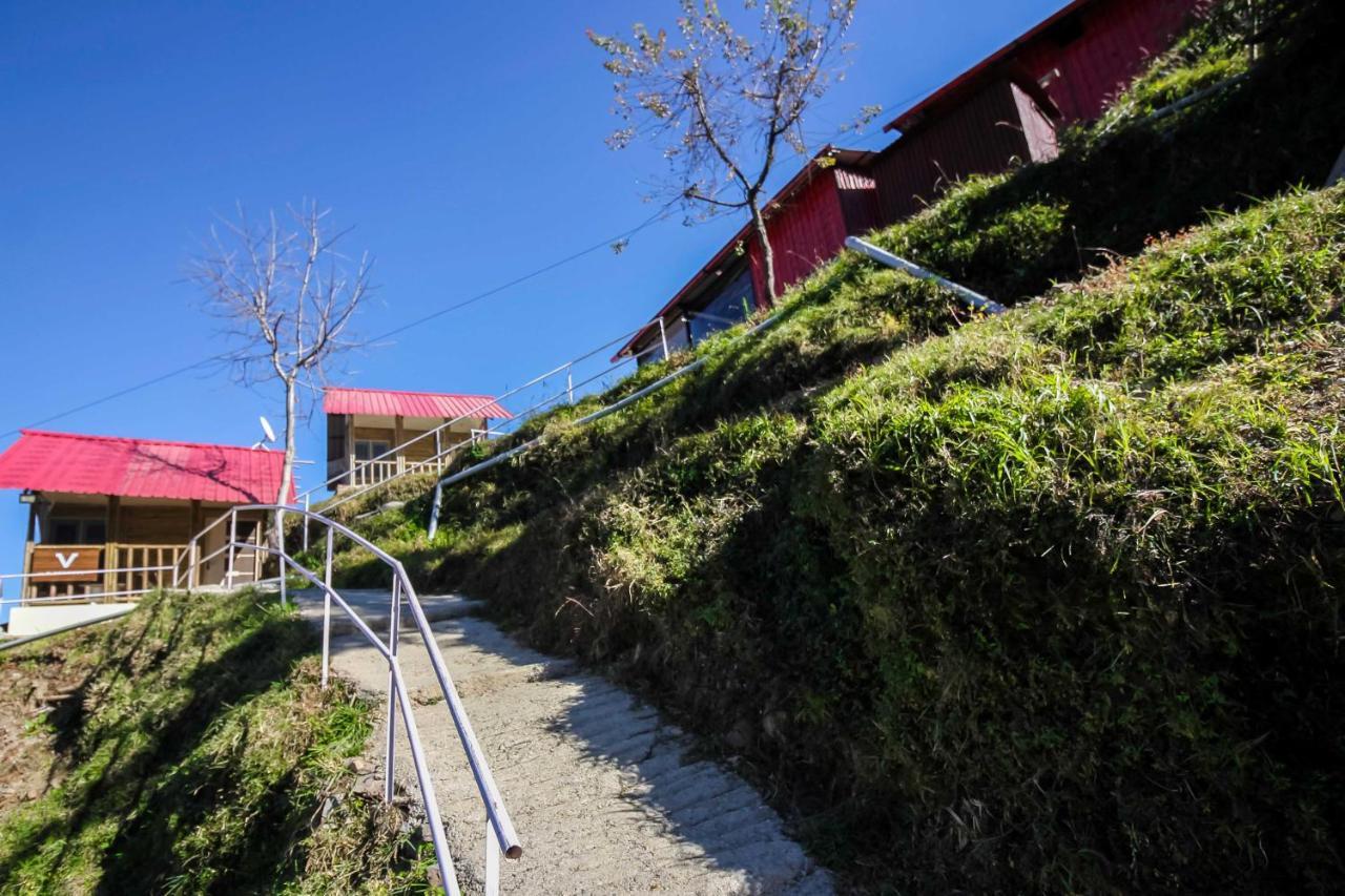 Glamwood Resort Dhanaulti, Ranked 1 In ダノルティ エクステリア 写真